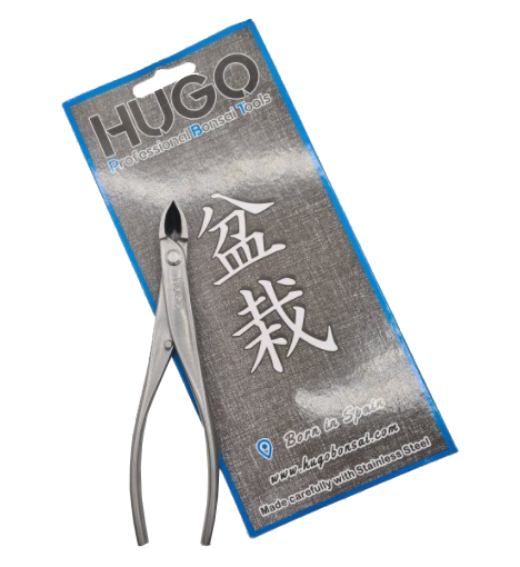 Hugo 7.08″ Stainless Steel Shohin Concave Cutter