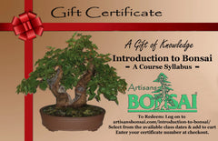 Introduction to Bonsai Gift Card